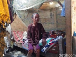 Kisah Warga Grobogan yang Tinggal Seatap dengan Sapi