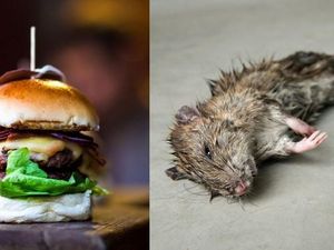 Hiiii, Pria Ini Temukan Tikus Kecil Berbulu dalam Sajian Burgernya