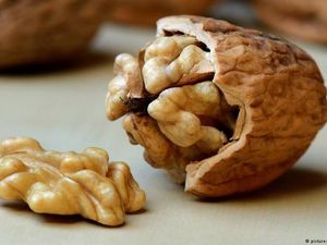 Walnut Biang Kerok Sengketa Bernilai Rp 64 Juta di Jerman Walnut Biang Kerok Sengketa Bernilai Rp 64 Juta di Jerman