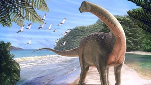 Riset: Dinosaurus Alami Masa Jaya Sebelum Dimusnahkan Asteroid Riset: Dinosaurus Alami Masa Jaya Sebelum Dimusnahkan Asteroid