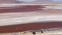 Foto: Padang Garam Aneh Tapi Nyata di Bolivia