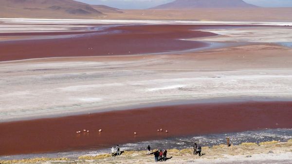 Foto: Padang Garam Aneh Tapi Nyata di Bolivia