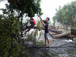 Angin Kencang Landa Tiga Desa di Brebes