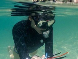 Sedotan Plastik Akan Dilarang di Kawasan Great Barrier Reef