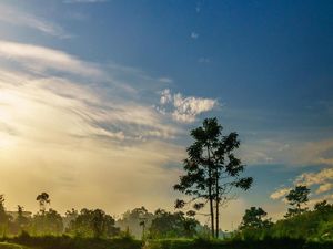 refleksi diri di pagi yang indah