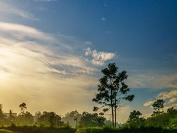 refleksi diri di pagi yang indah