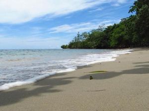 Sebelum Lihat Hiu Paus, Singgah Dulu di Pantai Wagi
