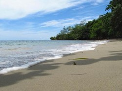 Sebelum Lihat Hiu Paus, Singgah Dulu di Pantai Wagi