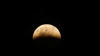 Fase Gerhana Bulan Dimulai, Begini Penampakannya di Indonesia