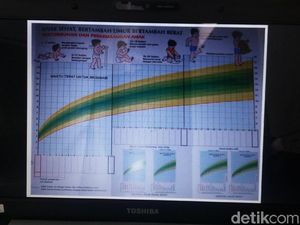2017, Penderita Gizi Buruk di Bondowoso 308 Anak 2017, Penderita Gizi Buruk di Bondowoso 308 Anak