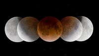 Kumpulan Fakta Menarik Soal Gerhana Bulan