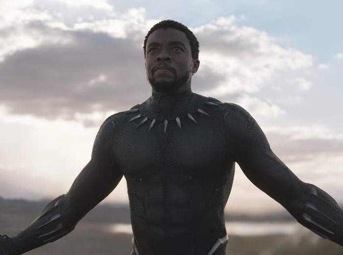 Chadwick Boseman Black Panther