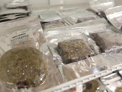 Mabuk Akibat Ganja, Polisi Toronto Minta Bantuan Rekannya