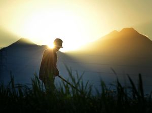 Brighter day