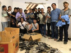 Simpan 200 Kg Sisik Penyu Ilegal, 2 WN China Ditangkap di Makassar