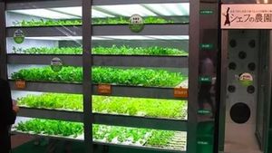 Deretan Vending Machine Terunik di Dunia