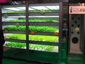 Deretan Vending Machine Terunik di Dunia