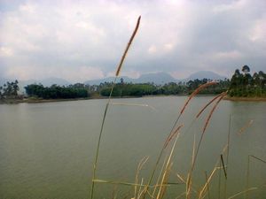 Melepas Penat di Situ Cileunca Pangalengan