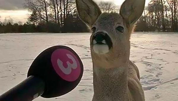 Deretan Foto Viral yang Bikin Terheran-heran