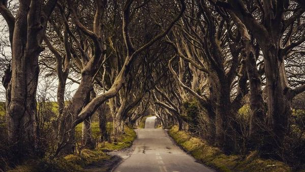 Foto: Jalanan Seram Tempat Syuting Game of Thrones