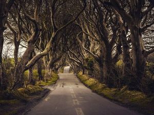 Foto: Jalanan Seram Tempat Syuting Game of Thrones Foto: Jalanan Seram Tempat Syuting Game of Thrones