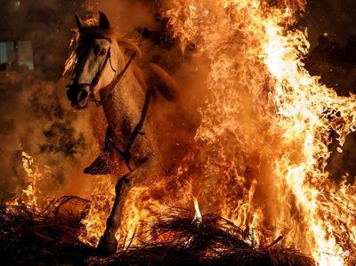 Foto: Ngeri! Berkuda Menembus Api