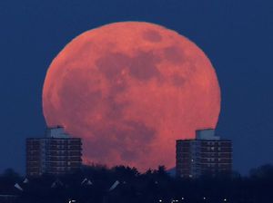 Fenomena 2 Supermoon di Agustus 2023, Ada Sturgeon Moon dan Blue Moon Fenomena 2 Supermoon di Agustus 2023, Ada Sturgeon Moon dan Blue Moon