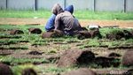 Sambut Asian Games, Rumput Stadion Si Jalak Harupat Dibongkar