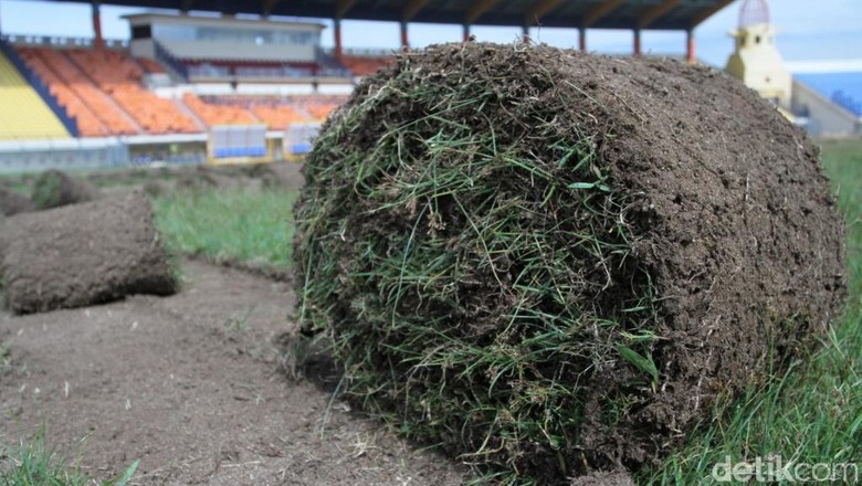 Rumput Stadion Si Jalak Harupat Akan seperti di Stadion Utama GBK Rumput Stadion Si Jalak Harupat Akan seperti di Stadion Utama GBK