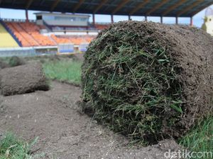 Rumput Stadion Si Jalak Harupat Akan seperti di Stadion Utama GBK