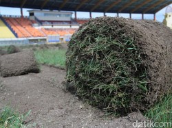 Rumput Stadion Si Jalak Harupat Akan seperti di Stadion Utama GBK