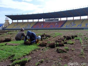 Sambut Asian Games, Rumput Stadion Si Jalak Harupat Dibongkar