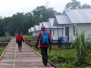 Buka Akses ke Asmat, Jokowi Bangun 2 Ruas Jalan Trans Papua Buka Akses ke Asmat, Jokowi Bangun 2 Ruas Jalan Trans Papua