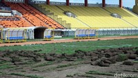 Sejumlah pekerja melakukan membongkar rumput tanpa menggunakan alat. Rumput berjenis matrela itu dibongkar dengan cara ditarik menggunakan dua tangan lalu digulung.