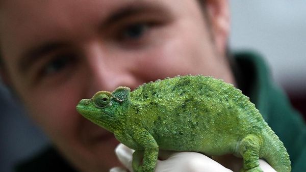 10 Sains Umum yang Terbukti Salah