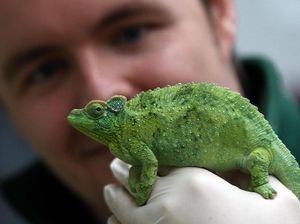 10 Sains Umum yang Terbukti Salah