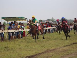100 Peserta Ramaikan Pacuan Kuda Piala Menpora di Sidoarjo