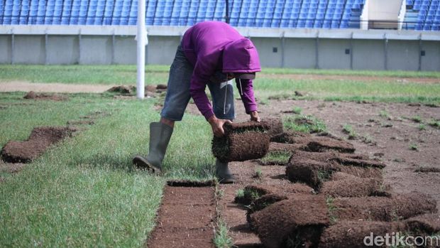 Rumput Stadion Si Jalak Harupat Akan seperti di Stadion Utama GBK