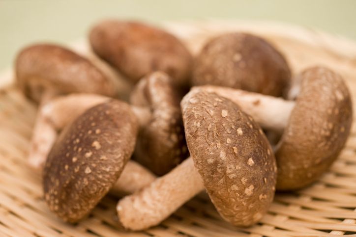 jamur shitake