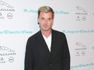 Foto: Gantengnya Mantan Suami Gwen Stefani yang Tak Menua di Usia 52 Foto: Gantengnya Mantan Suami Gwen Stefani yang Tak Menua di Usia 52