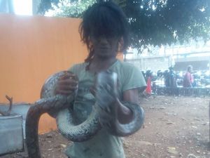 Nasib Malang Pelukis Jalanan Tewas Dillit Ular Sanca Peliharaan Nasib Malang Pelukis Jalanan Tewas Dillit Ular Sanca Peliharaan