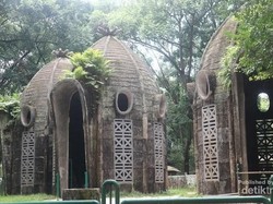 Jadi Segede Ini Rumah dari Hewan Jerapah