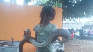 Potret Pelukis di Menteng dengan Sanca yang Melilitnya Hingga Tewas