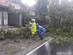 Hujan dan Angin Kencang, Pohon Tumbang Menutup Jalan di Demak