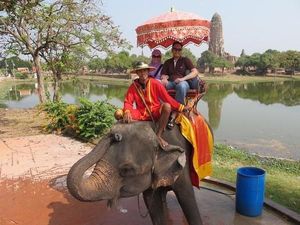 Serasa di Way Kambas, Bersenang-bersenang dengan Gajah Serasa di Way Kambas, Bersenang-bersenang dengan Gajah