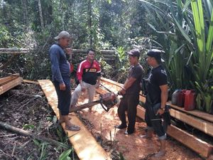 Polisi Tangkap 6 Pelaku Illegal Logging di Kawasan Cagar Biosfer Riau