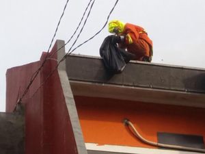 Petugas Damkar Jaktim Bantu Evakuasi Sarang Tawon yang Sengat Warga