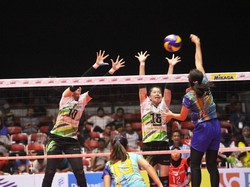 Jelang Proliga 2019, Kontestan Putri Tebar Psywar