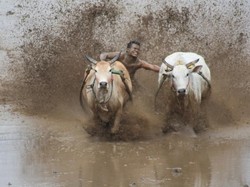 Yang Harus Fotografer Potret di Sumatera Barat