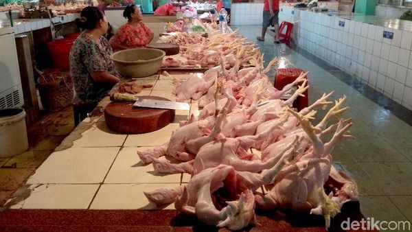 Musim Hujan, Harga Daging Ayam Mahal